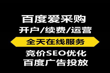 百度竞价代理的客户案例：如何实现ROI最大化